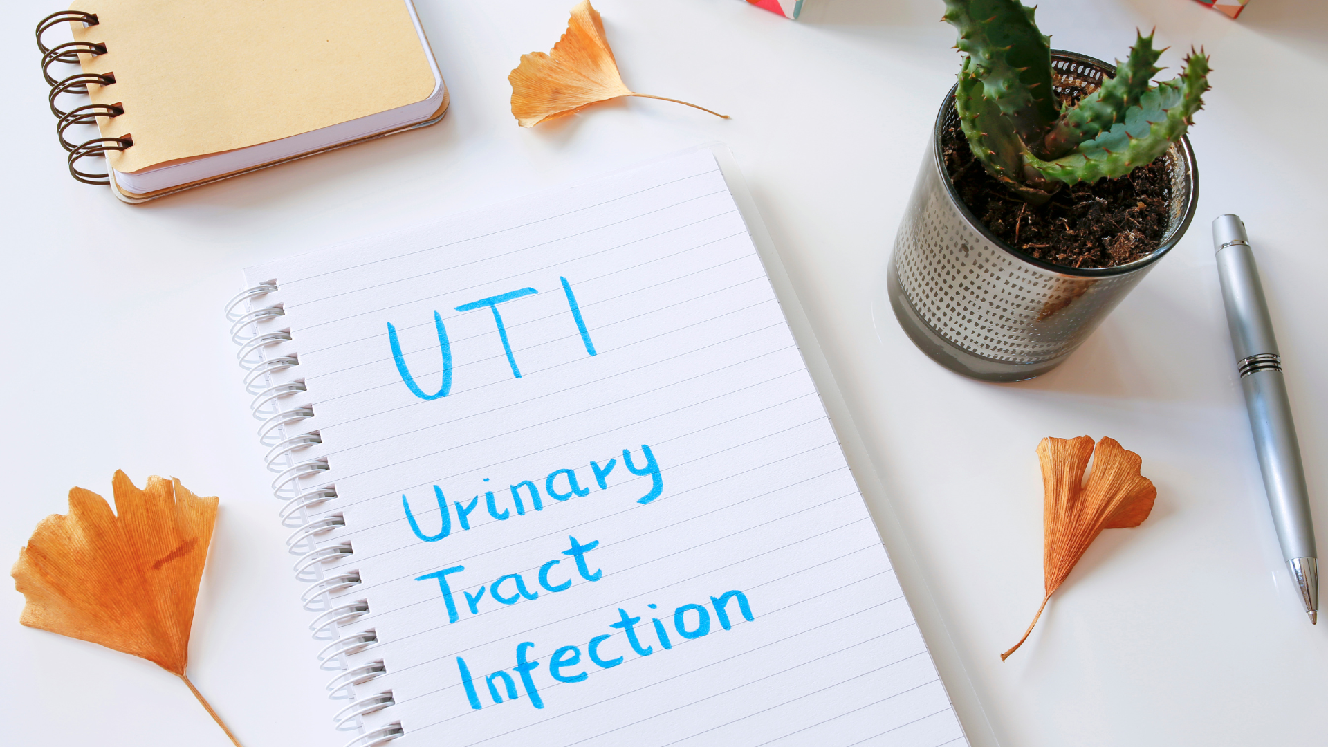 Uti Treatment in Eagle Mountain UT 84005